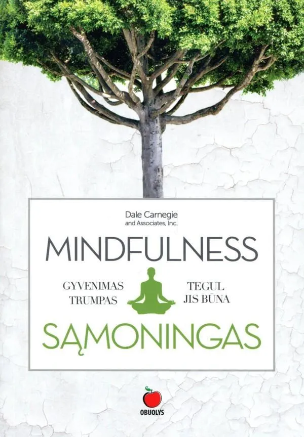 MINDFULNESS: gyvenimas trumpas – tegul jis būna sąmoningas ir nuostabus
