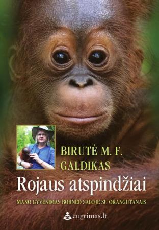 Rojaus atspindžiai