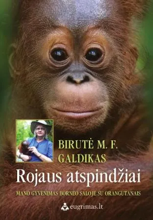 Rojaus atspindžiai