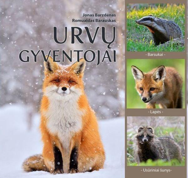 Urvų gyventojai. Barsukai, lapės, usūriniai šunys