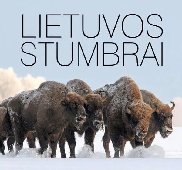 Lietuvos stumbrai