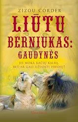 Liūtų berniukas: gaudynės