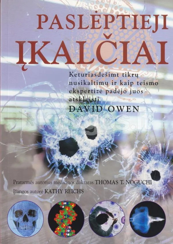 Paslėptieji įkalčiai