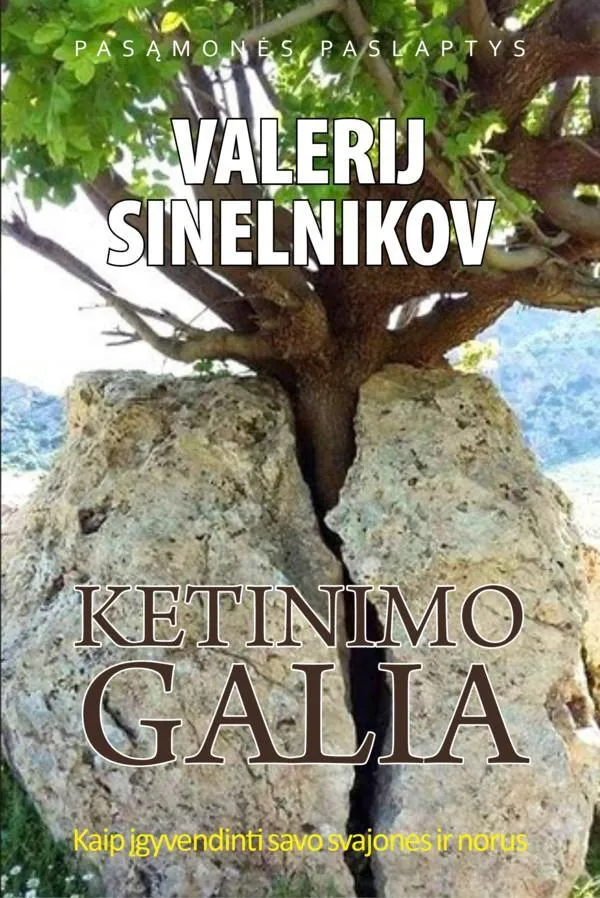 Ketinimo galia (2-as pataisytas ir papildytas leidimas)