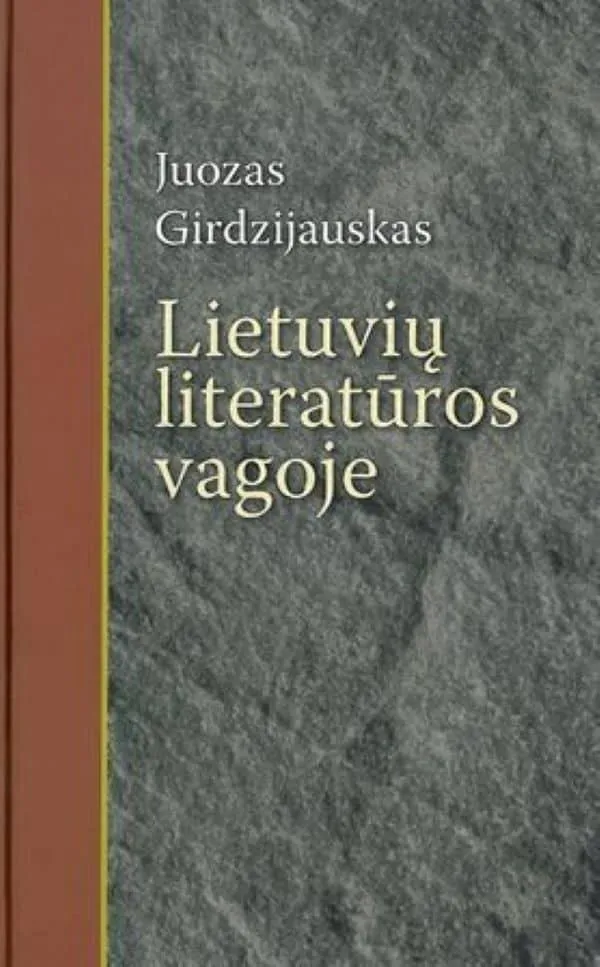 Lietuvių literatūros vagoje. Straipsnių rinkinys