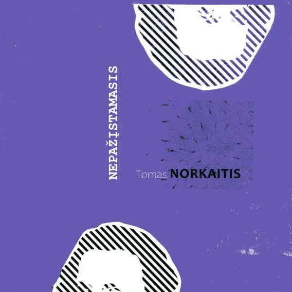 Nepažįstamasis