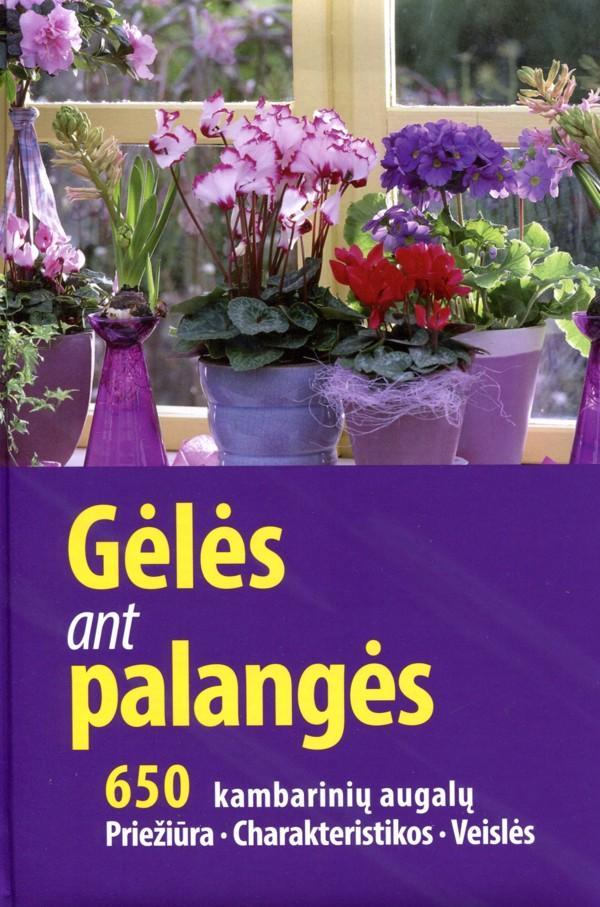Gėlės ant palangės: 650 kambarinių augalų. Priežiūra. Charakteristikos. Veislės