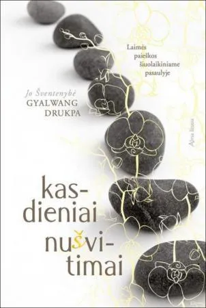 Kasdieniai nušvitimai. Laimės paieškos šiuolaikiniame pasaulyje