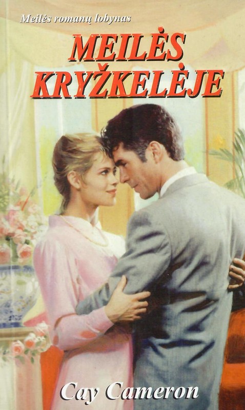 Meilės kryžkelėje. Meilės romanų lobynas
