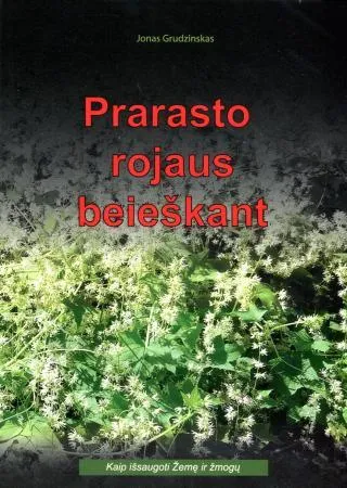 Prarasto rojaus beieškant