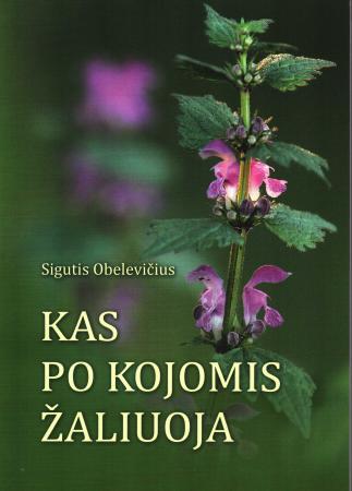 Kas po kojomis žaliuoja
