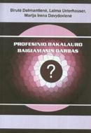 Profesinio bakalauro baigiamasis darbas