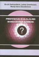 Profesinio bakalauro baigiamasis darbas