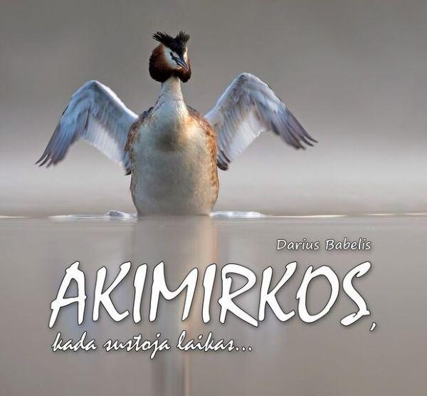 Akimirkos, kada sustoja laikas...
