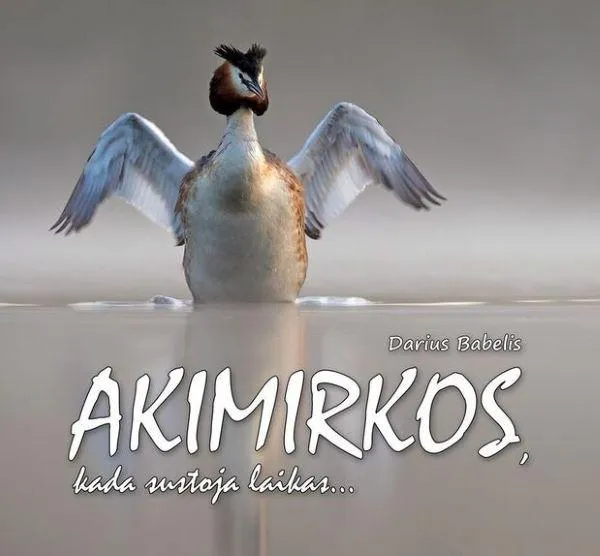 Akimirkos, kada sustoja laikas...