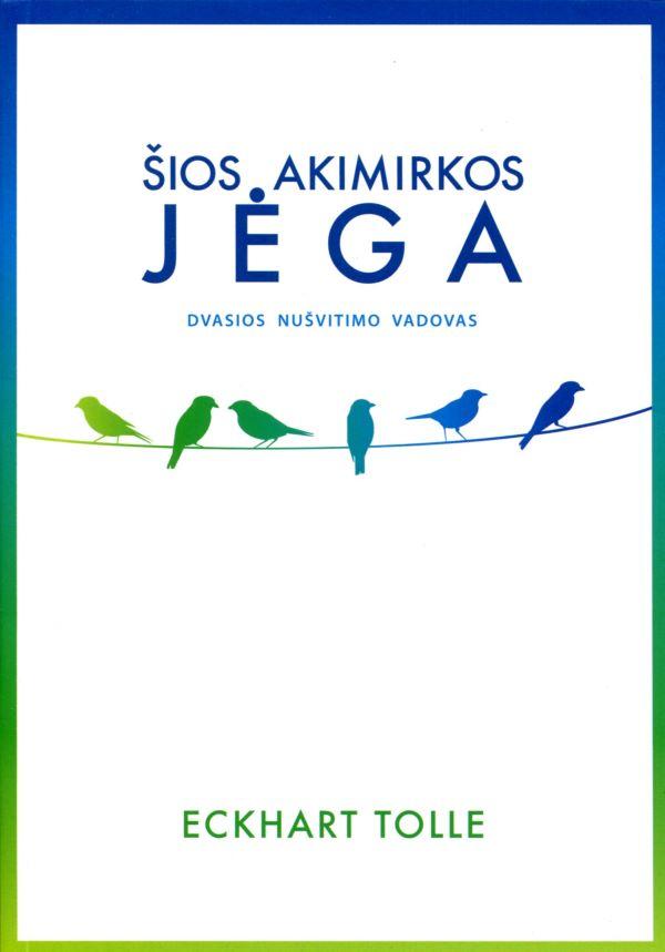 Šios akimirkos jėga. Dvasios nušvitimo vadovas