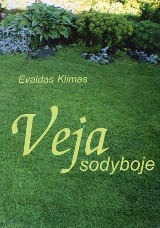 Veja sodyboje