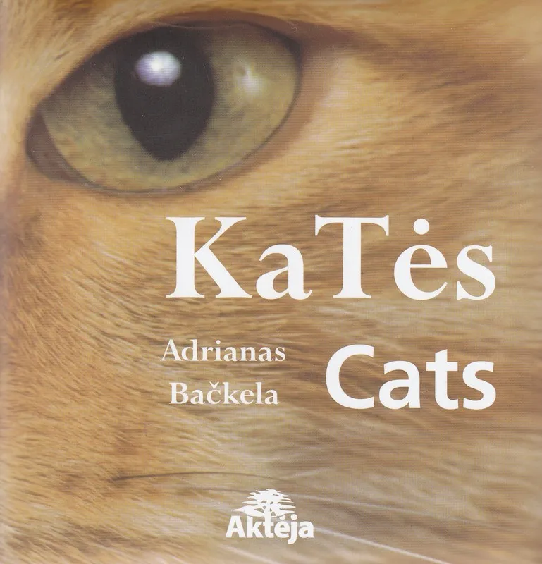 Katės. Cats