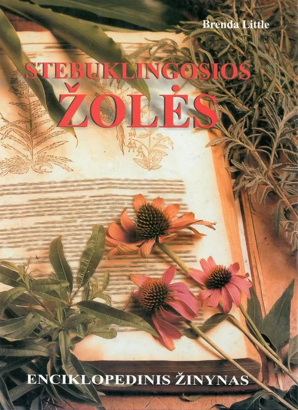 Stebuklingosios žolės