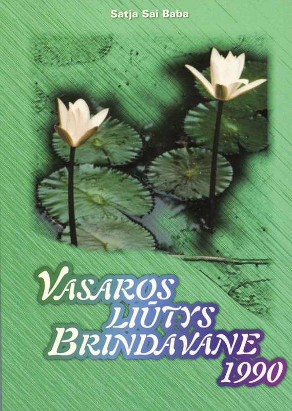 Vasaros liūtys Brindavane 1990