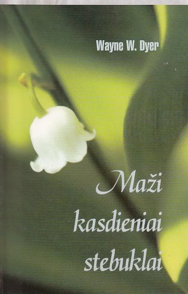 Maži kasdieniai stebuklai