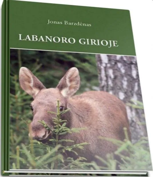 Labanoro girioje