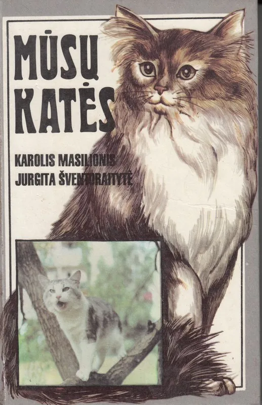 Mūsų katės