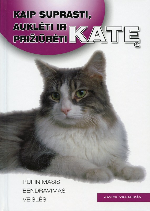 Kaip suprasti, auklėti ir prižiūrėti katę