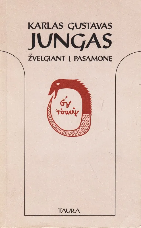 Žvelgiant į pasamonę