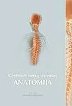 Centrinės nervų sistemos anatomija