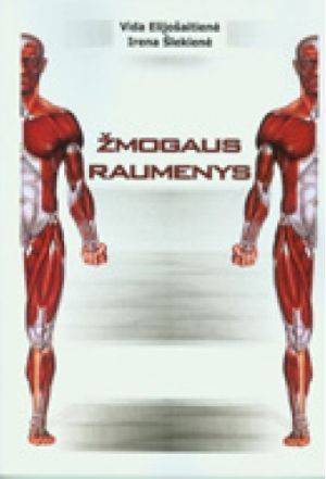 Žmogaus raumenys