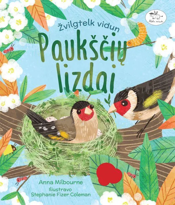 Paukščių lizdai. Žvilgtelk vidun