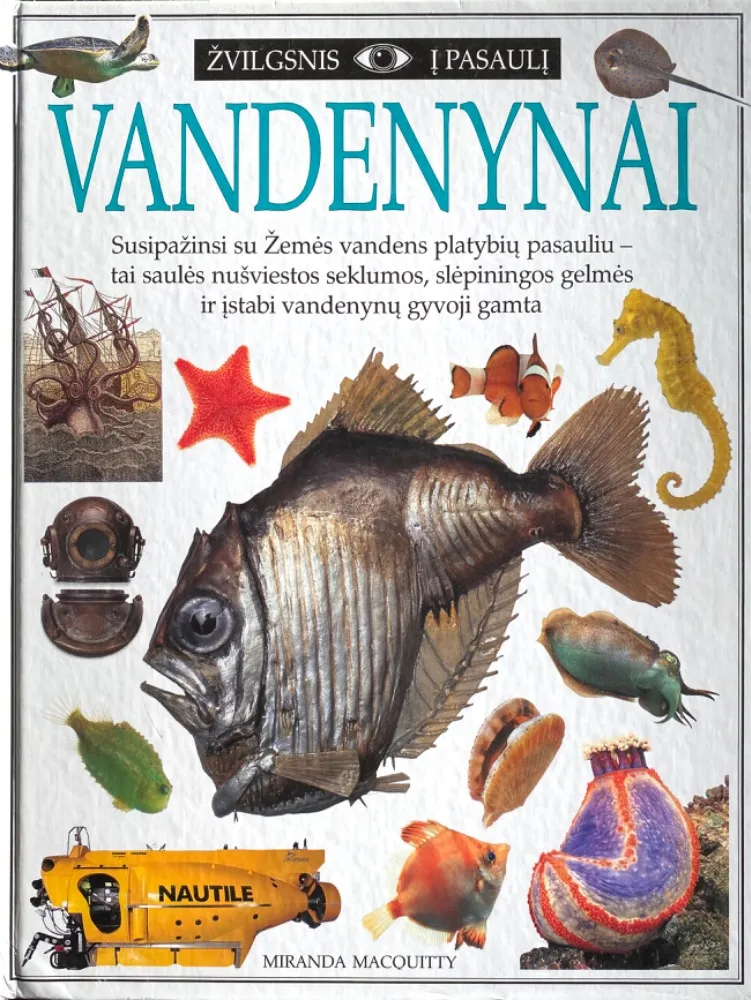 Vandenynai