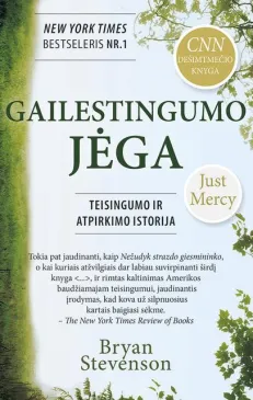 Gailestingumo jėga. Teisingumo ir atgailos istorija