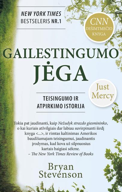 Gailestingumo jėga. Teisingumo ir atgailos istorija