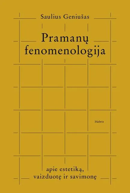 Pramanų fenomenologija. Apie estetiką, vaizduotę ir savimonę