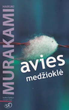 Avies medžioklė