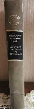 Eilerasciai poemos. Vieno miesto istorija