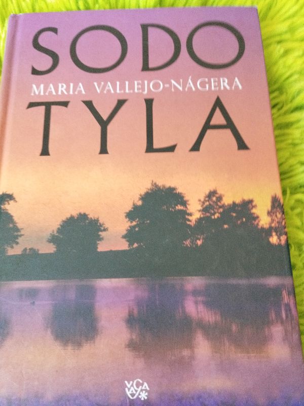 Sodo tyla