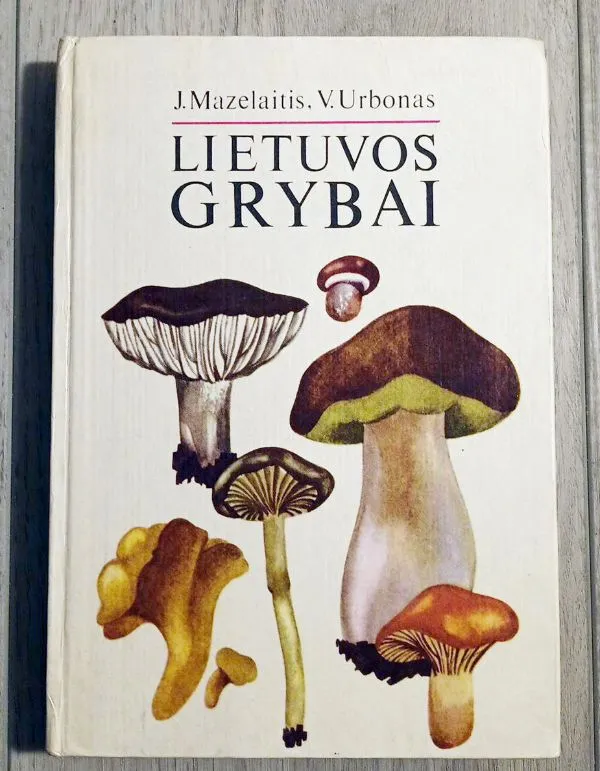 Lietuvos grybai