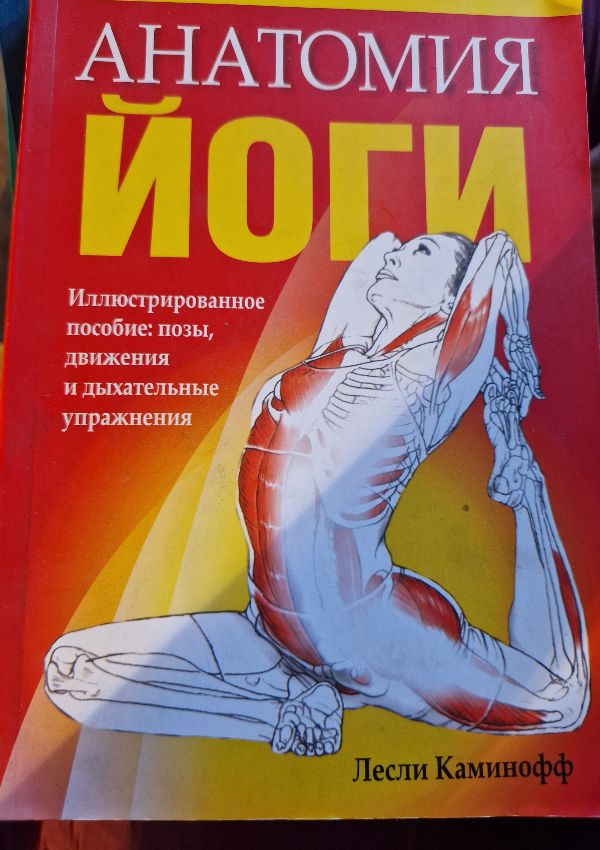 Анатомия йоги