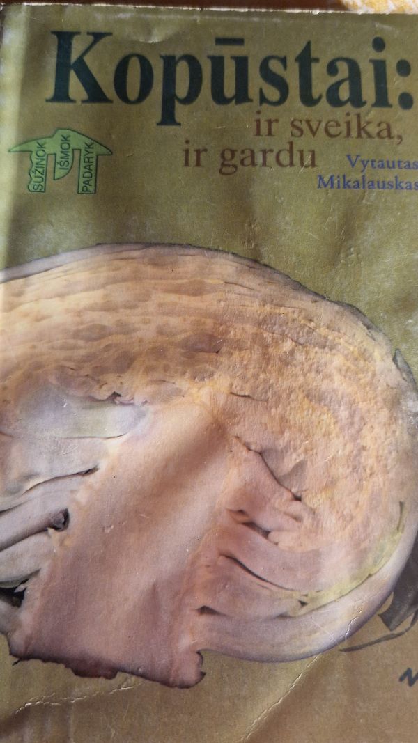 Kopūstai: ir sveika ir gardu