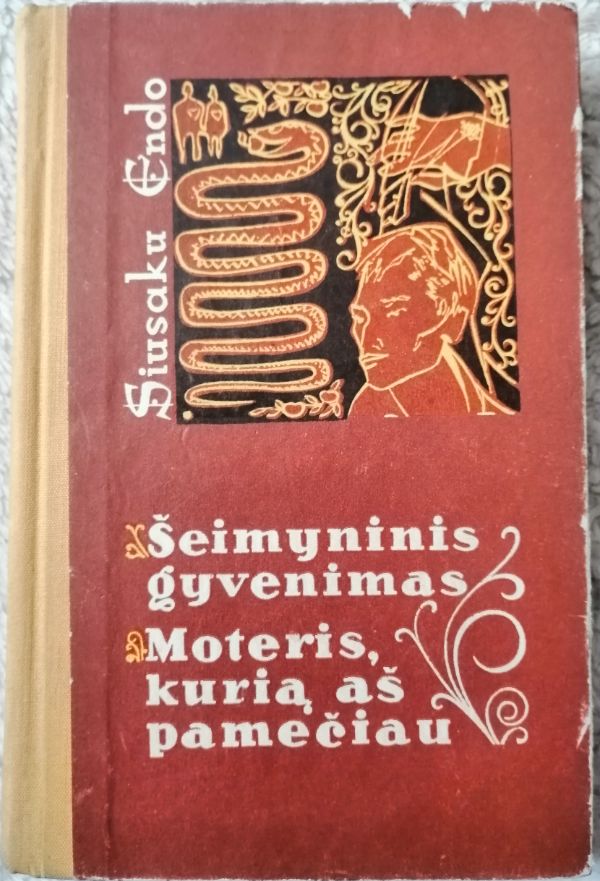 Šeimyninis gyvenimas. Moteris, kurią aš pamečiau
