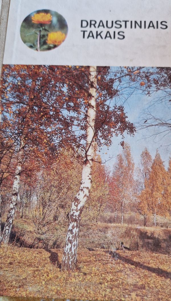 Draustiniais takais