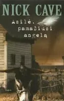 Asilė, pamačiusi angelą
