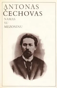 Namas su mezoninu
