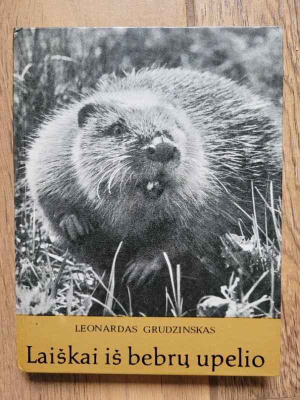 Laiškai iš bebrų upelio