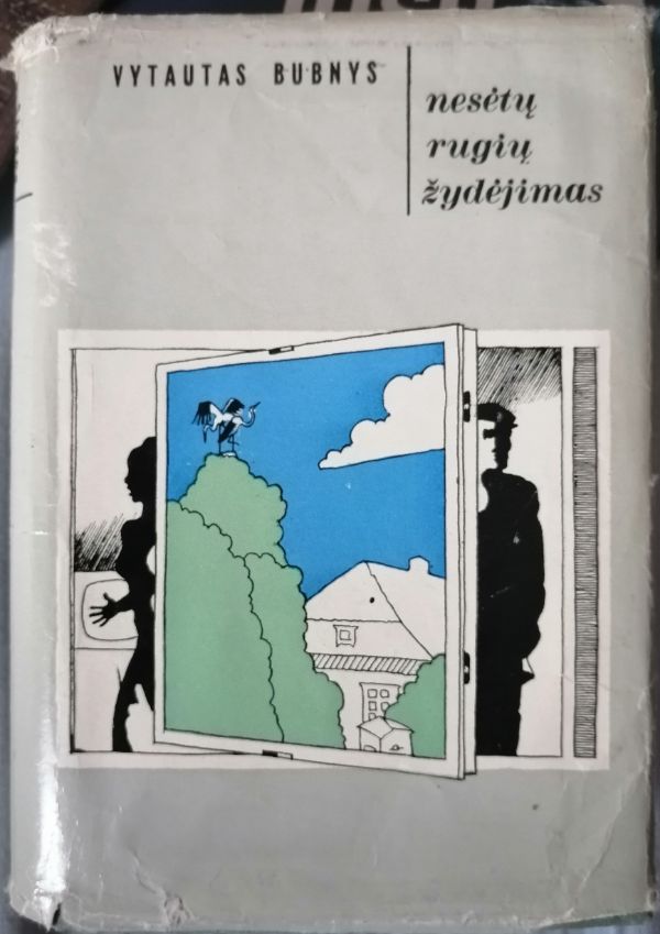 Nesėtų rugių žydėjimas