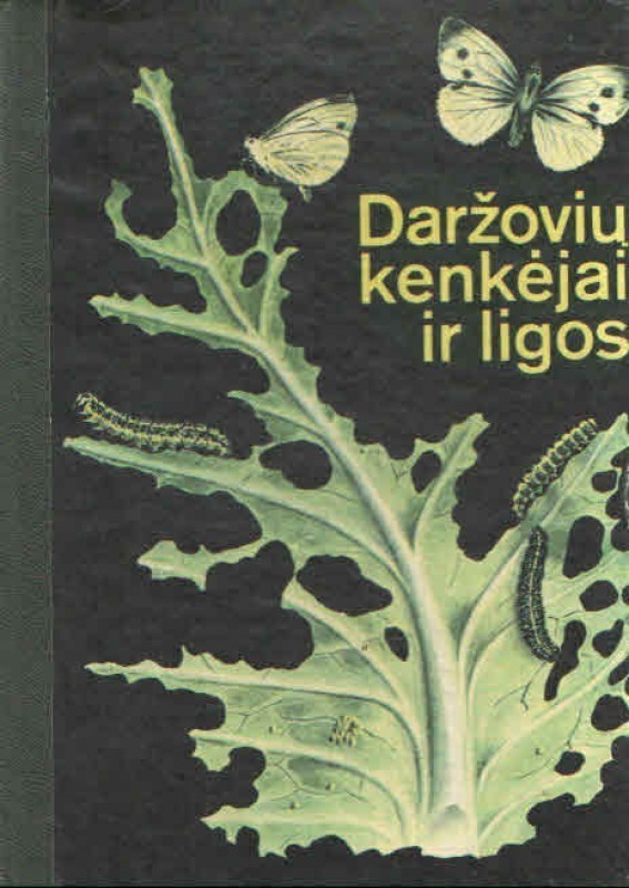 Daržovių kenkėjai ir ligos