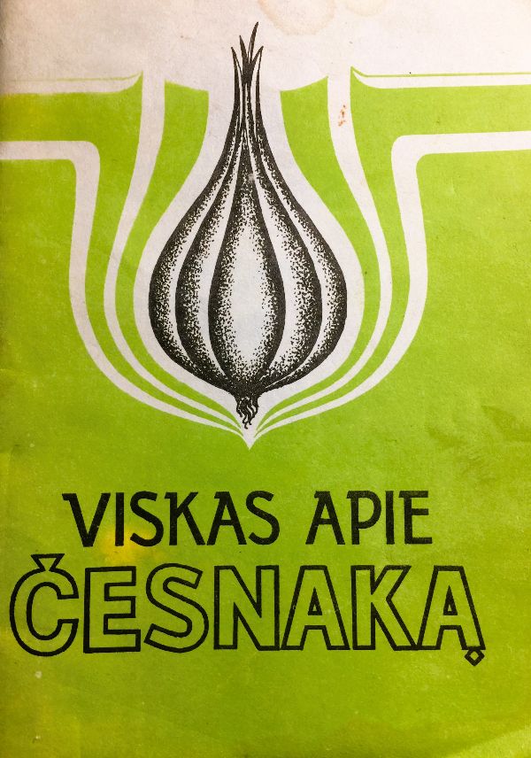 Viskas apie česnaką